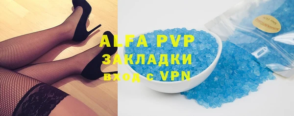 прущие грибы Костерёво