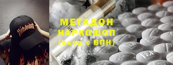 прущие грибы Корсаков