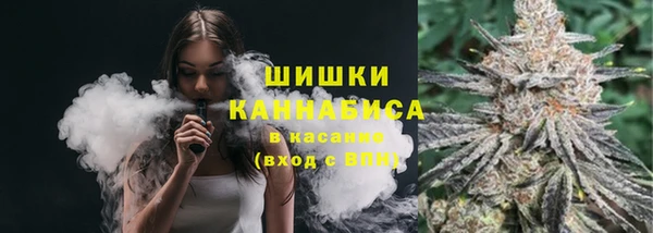 mdpv Козельск