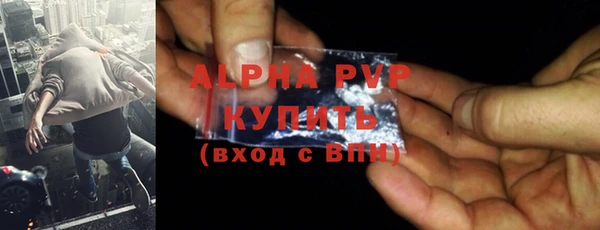 прущие грибы Костерёво