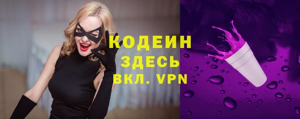 прущие грибы Корсаков