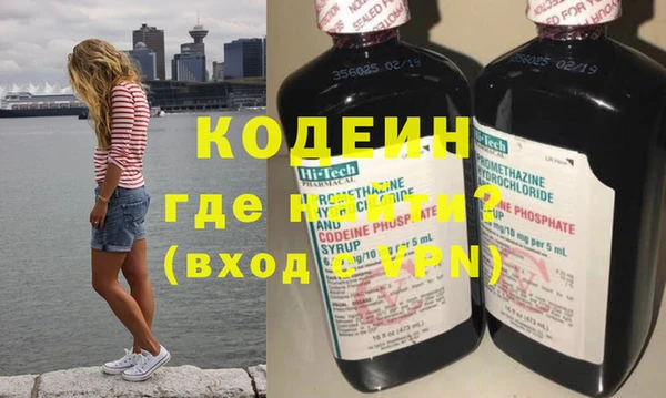 прущие грибы Корсаков