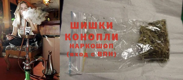 прущие грибы Корсаков